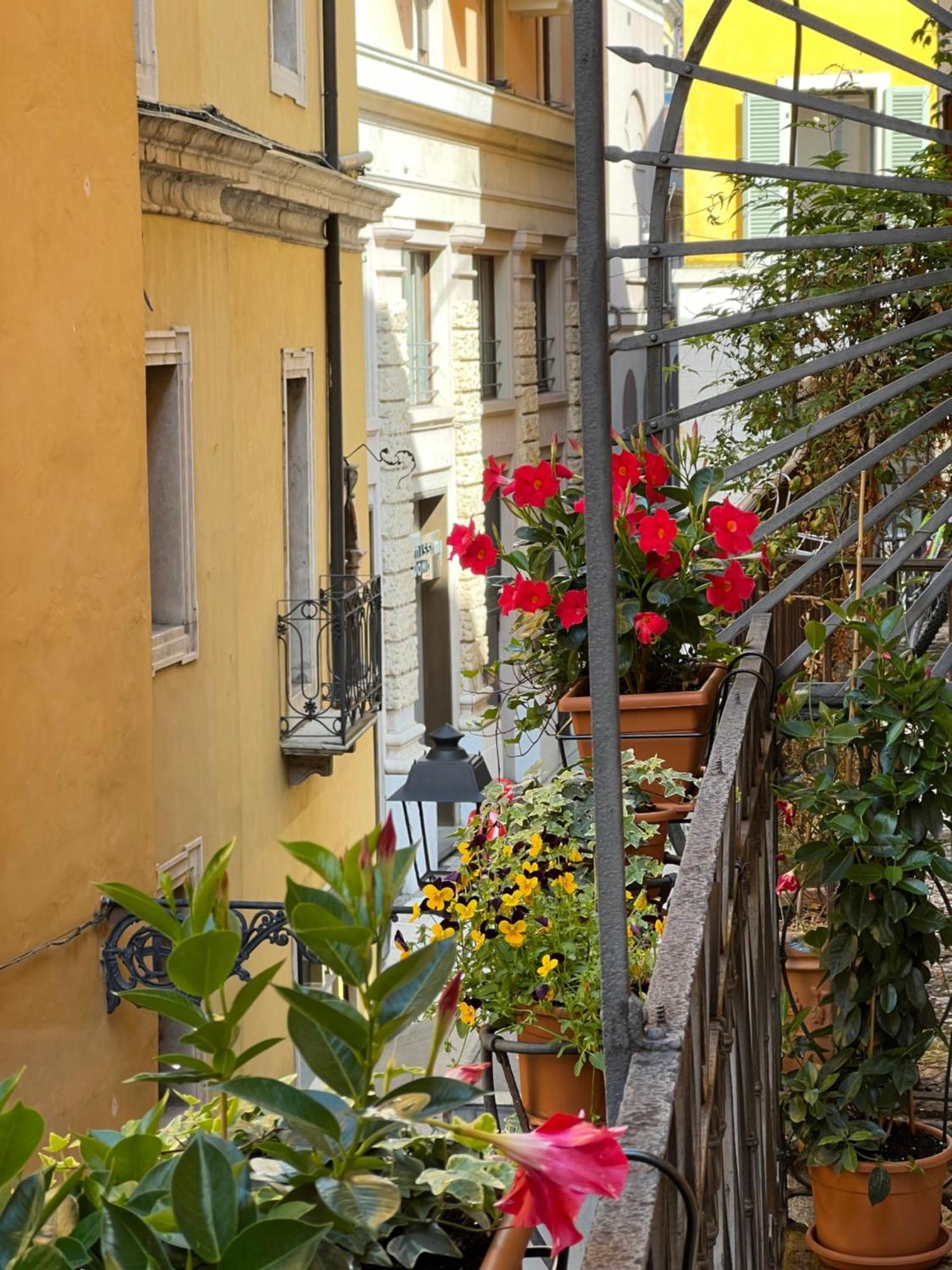 Flores Home Werona Zewnętrze zdjęcie